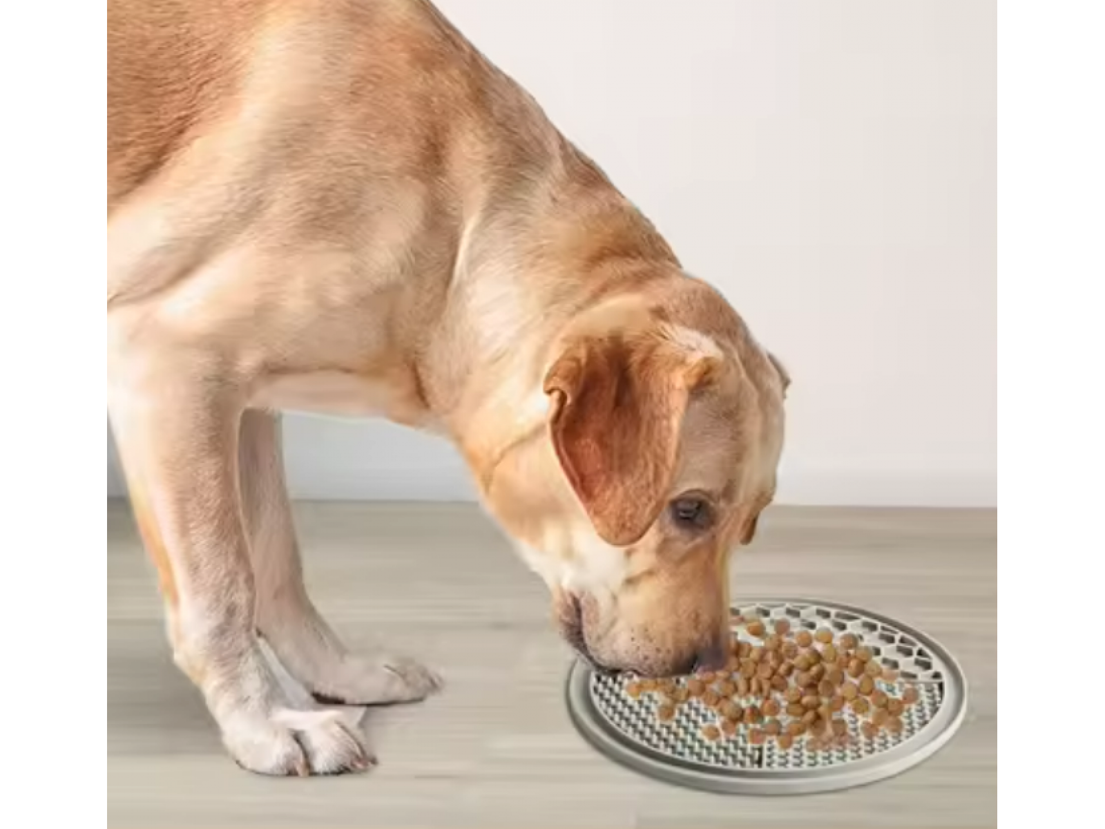 Covoras pentru hranirea lenta a animalelor Round 21cm