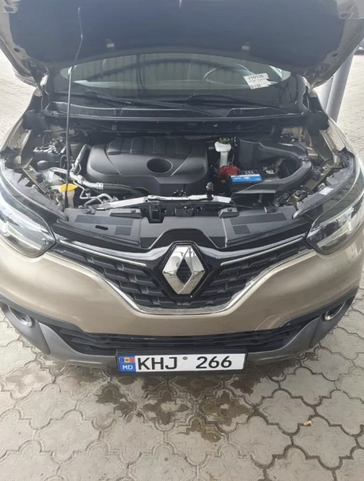 Renault Kadjar (4/4)