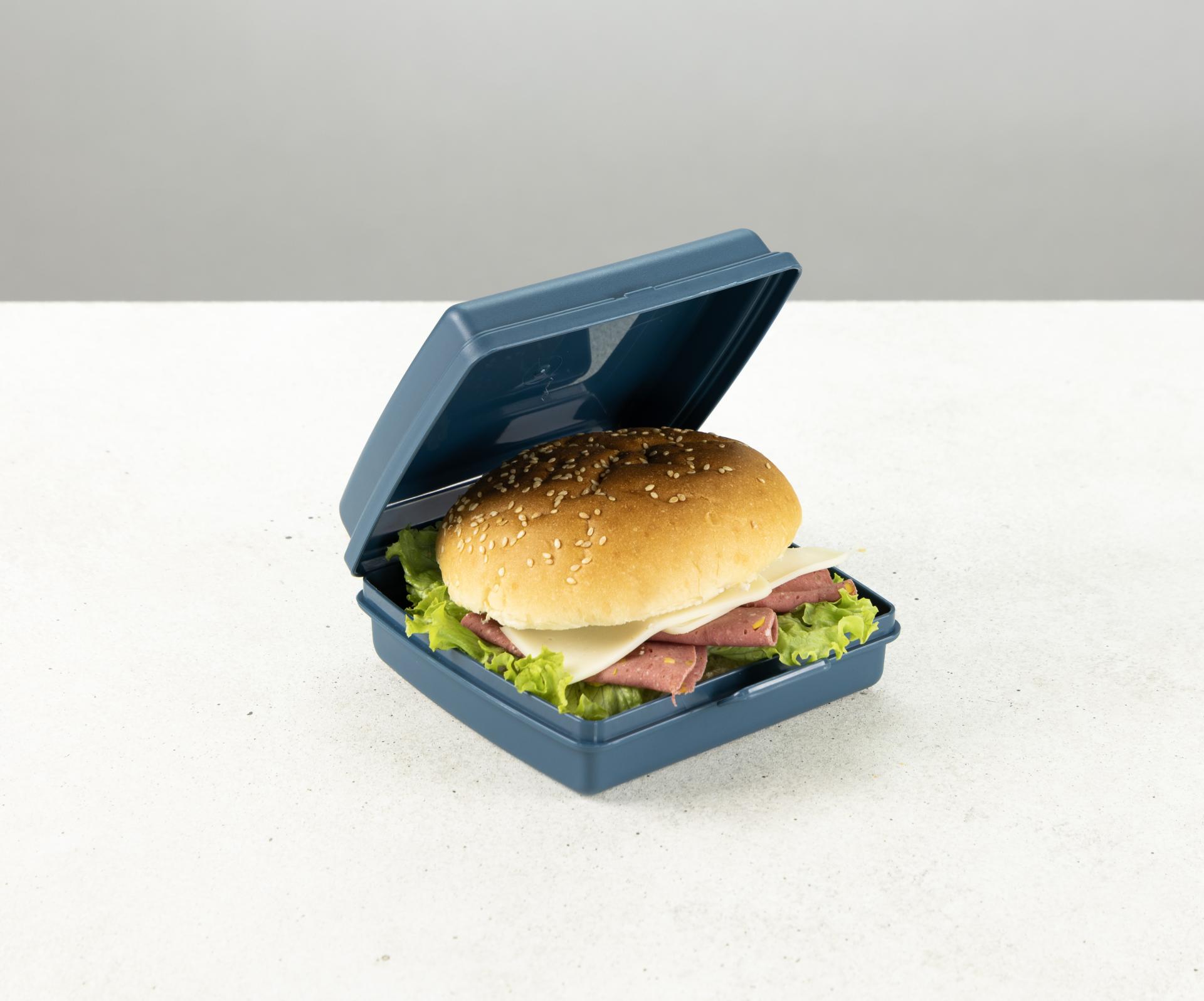 Caserola pentru sandwich To Go DecoBella