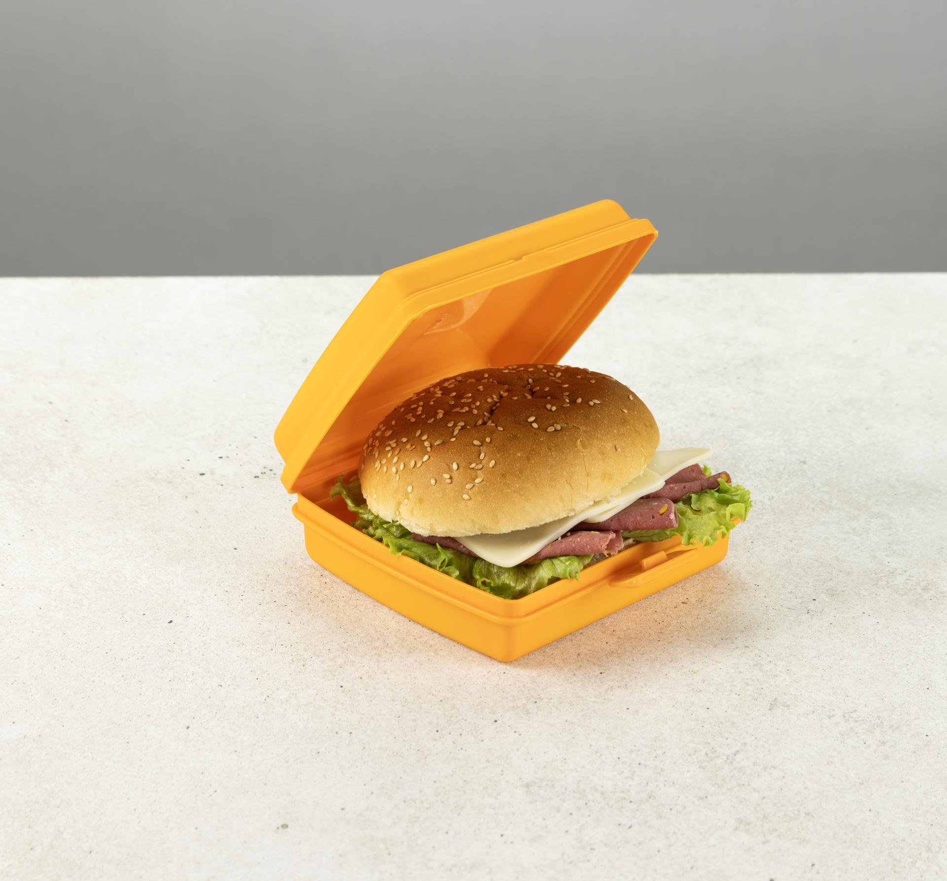 Caserola pentru sandwich To Go DecoBella