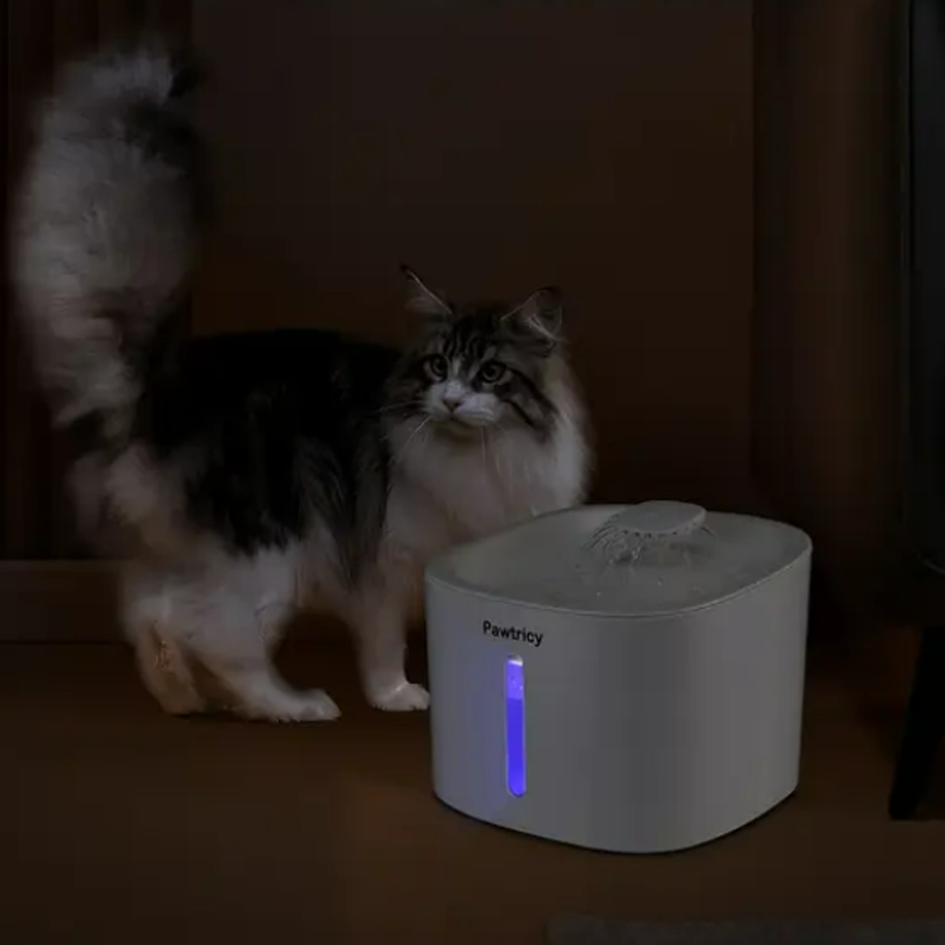 Bol electric pentru animale Pet Fountain