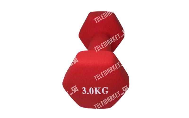 Haltera 3kg (1buc)