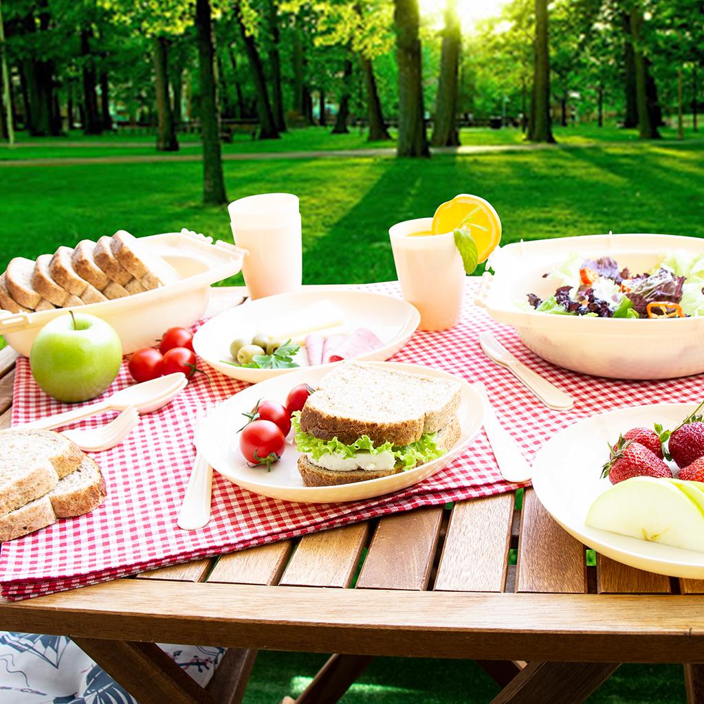 Set picnic DecoBella 6 persoane