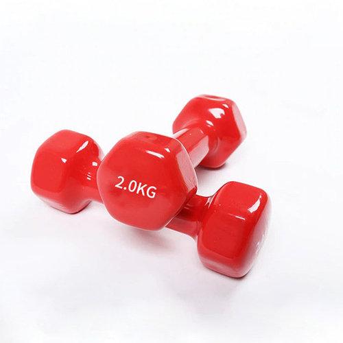 Haltera 2 kg (1buc)
