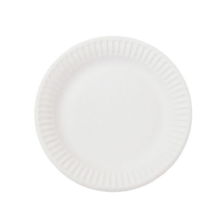 Farfurie hirtie de unica folosinta BIO, 210 mm, 12 buc